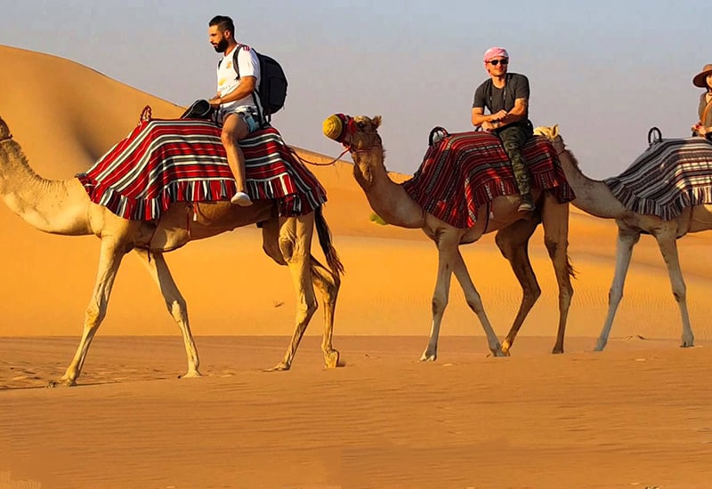 Beauty of Dubai’s Desert on a Camel Ride
