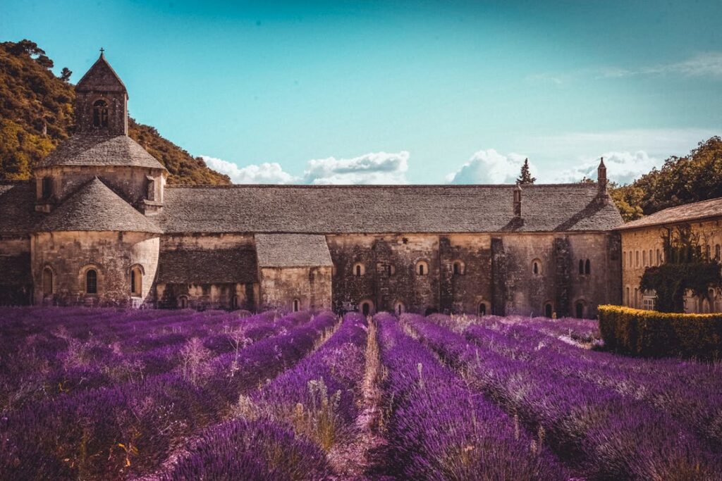 Roman Ruins and Lavender Fields