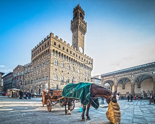 Historical Tours in Florence