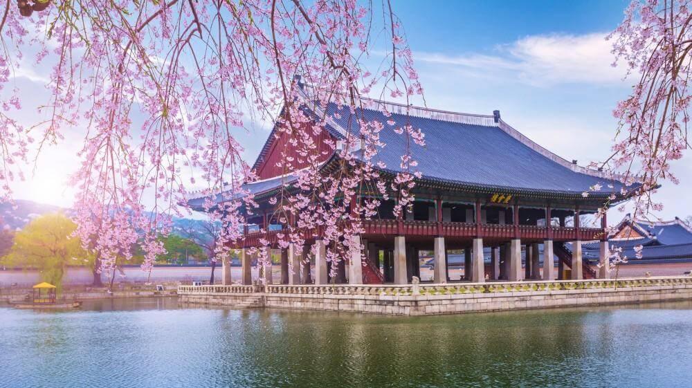 historical tours in south korea