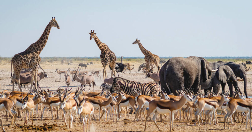 Historical Tours in Namibia