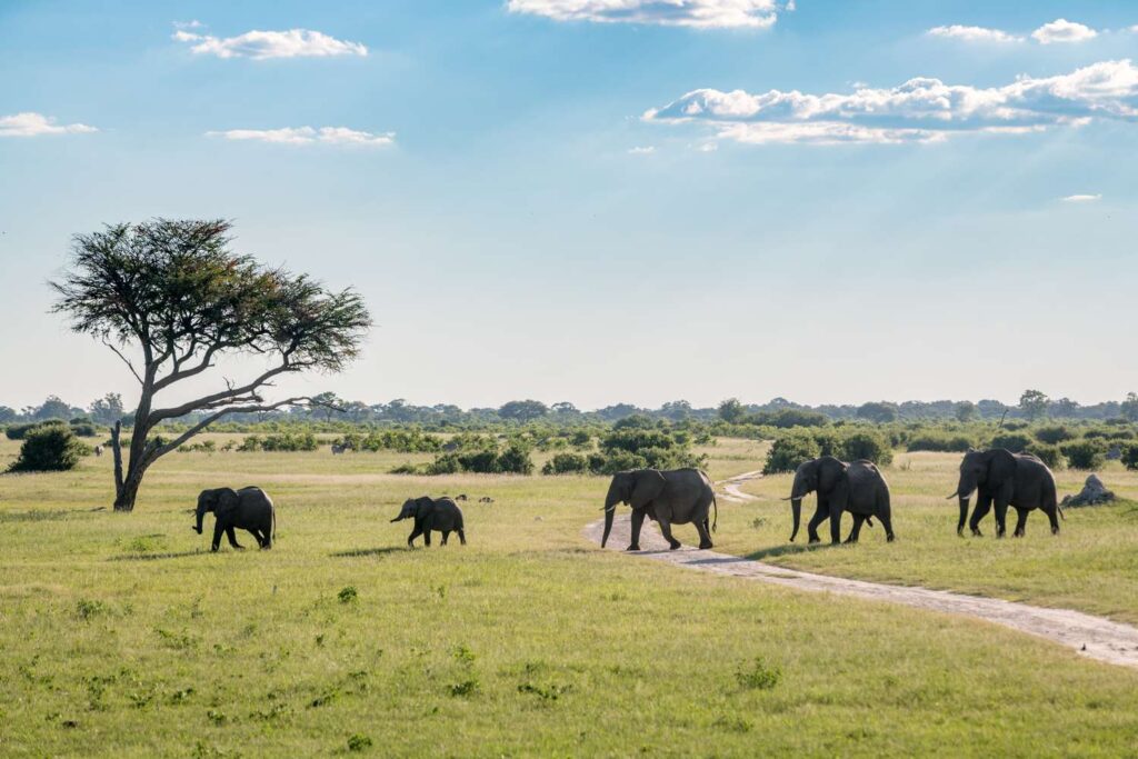 Historical Tours in Zimbabwe