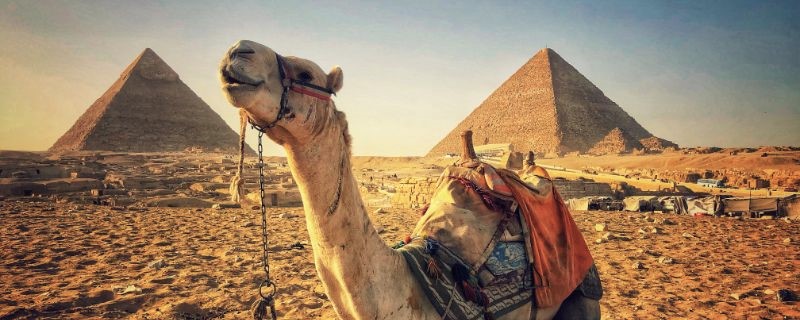 Historical Tours in Egypt